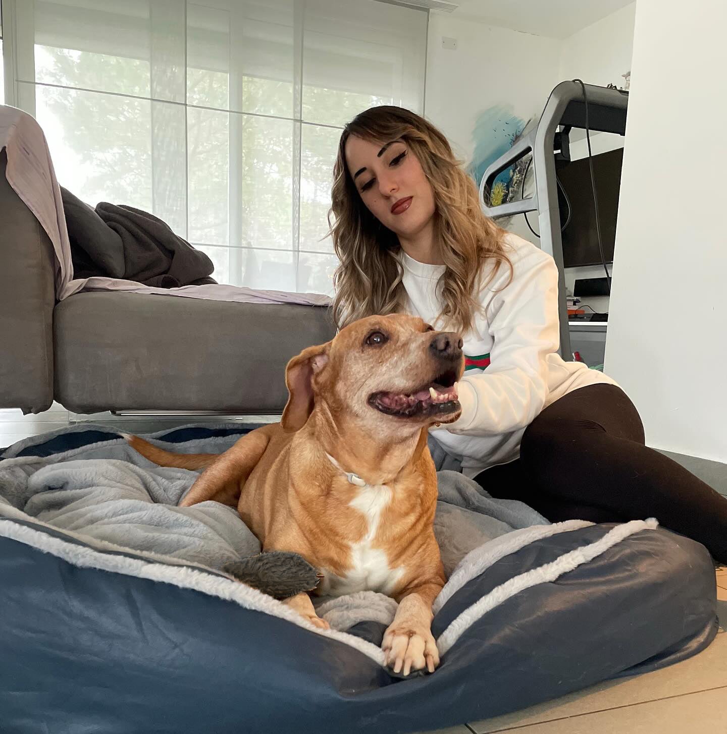 Dog Bed For Deep Sleep
