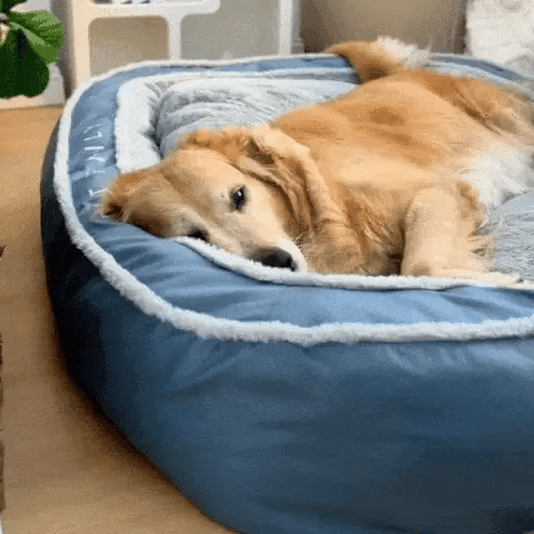 Dog Bed For Deep Sleep