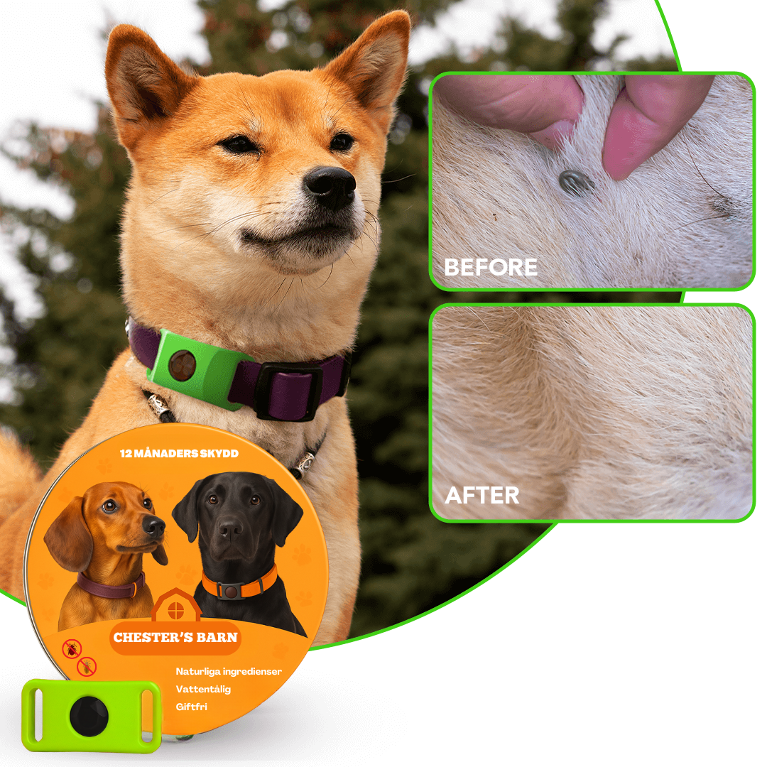 Chester's Shield™ 12 månader lopp- och fästingfri