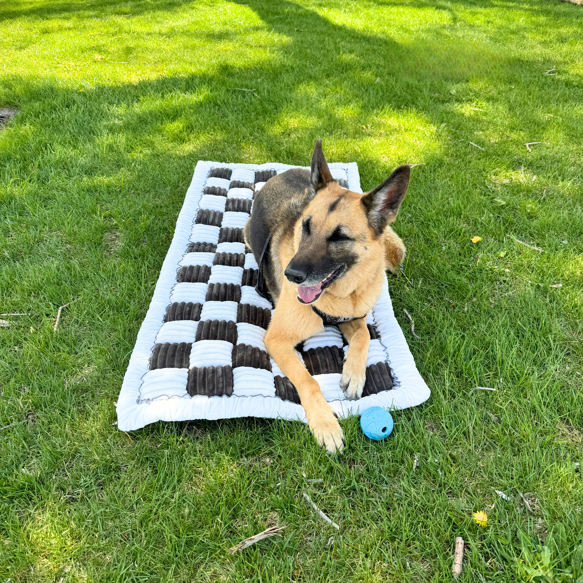 Deluxe Dog Bed - For The Backseat Extender