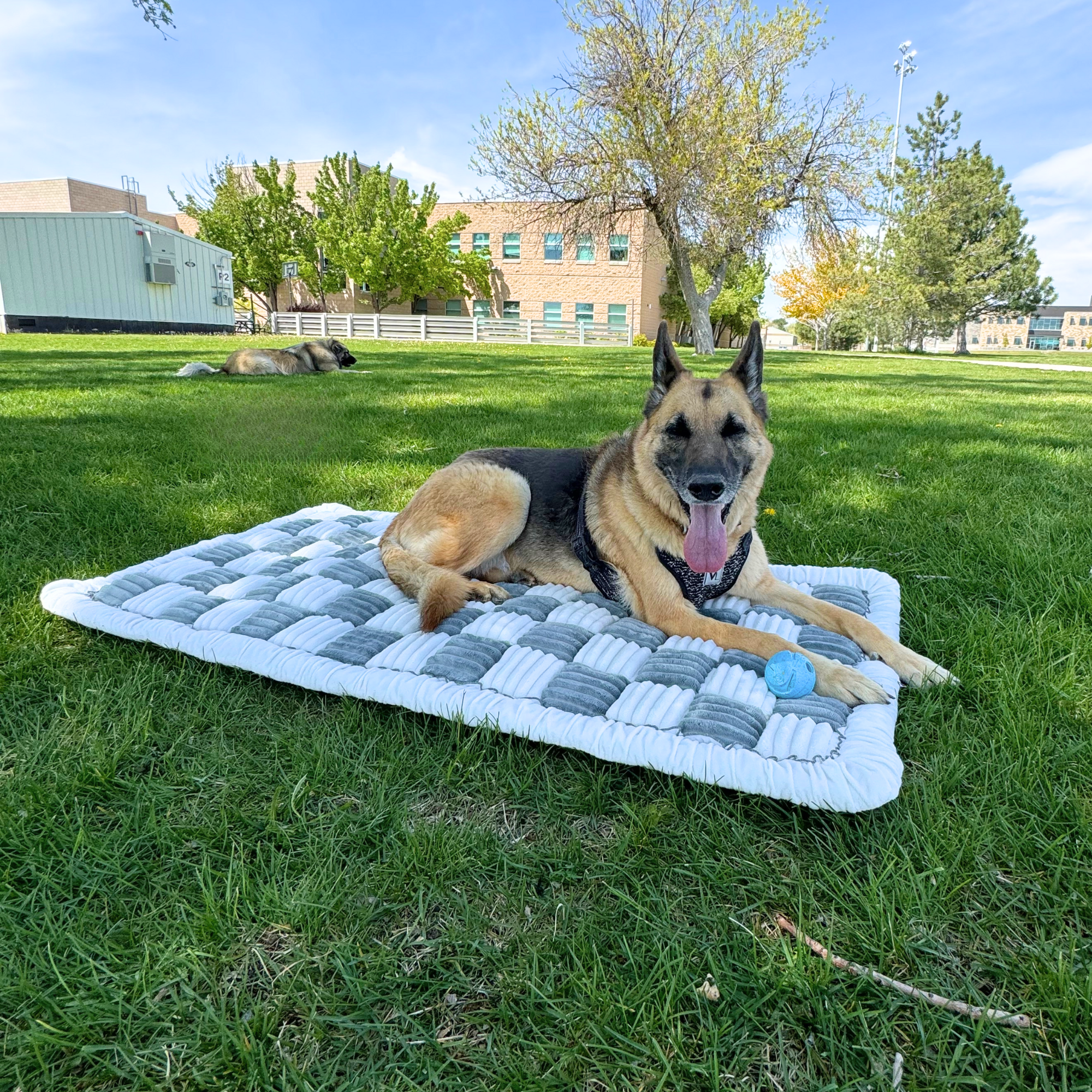 Deluxe Dog Bed - For The Backseat Extender