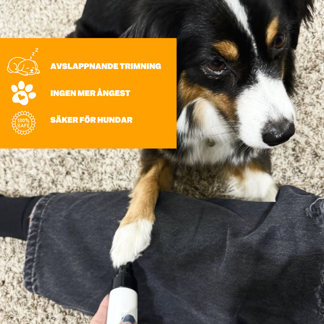 Chesters QuietGroom Pro