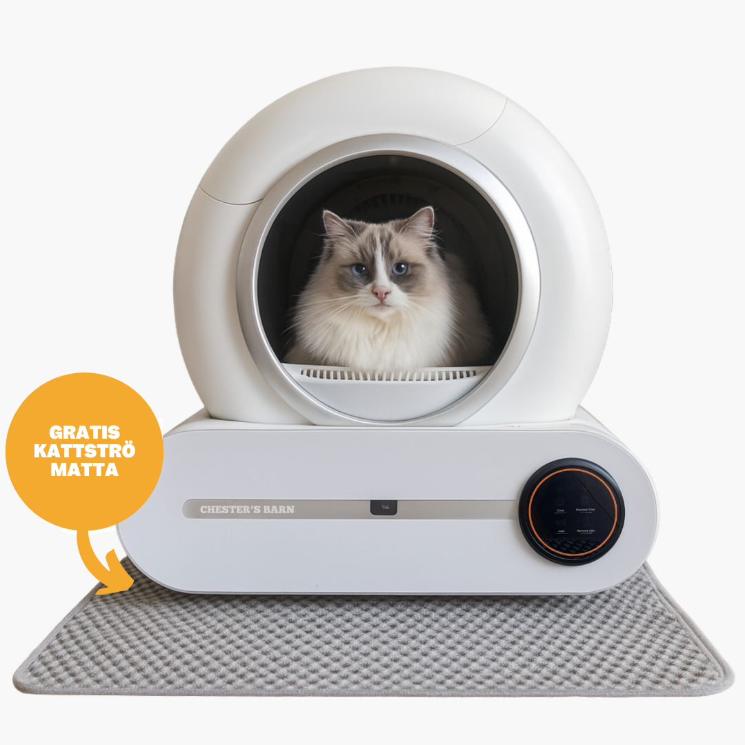 Chesters CleanPod™ smarta kattlåda