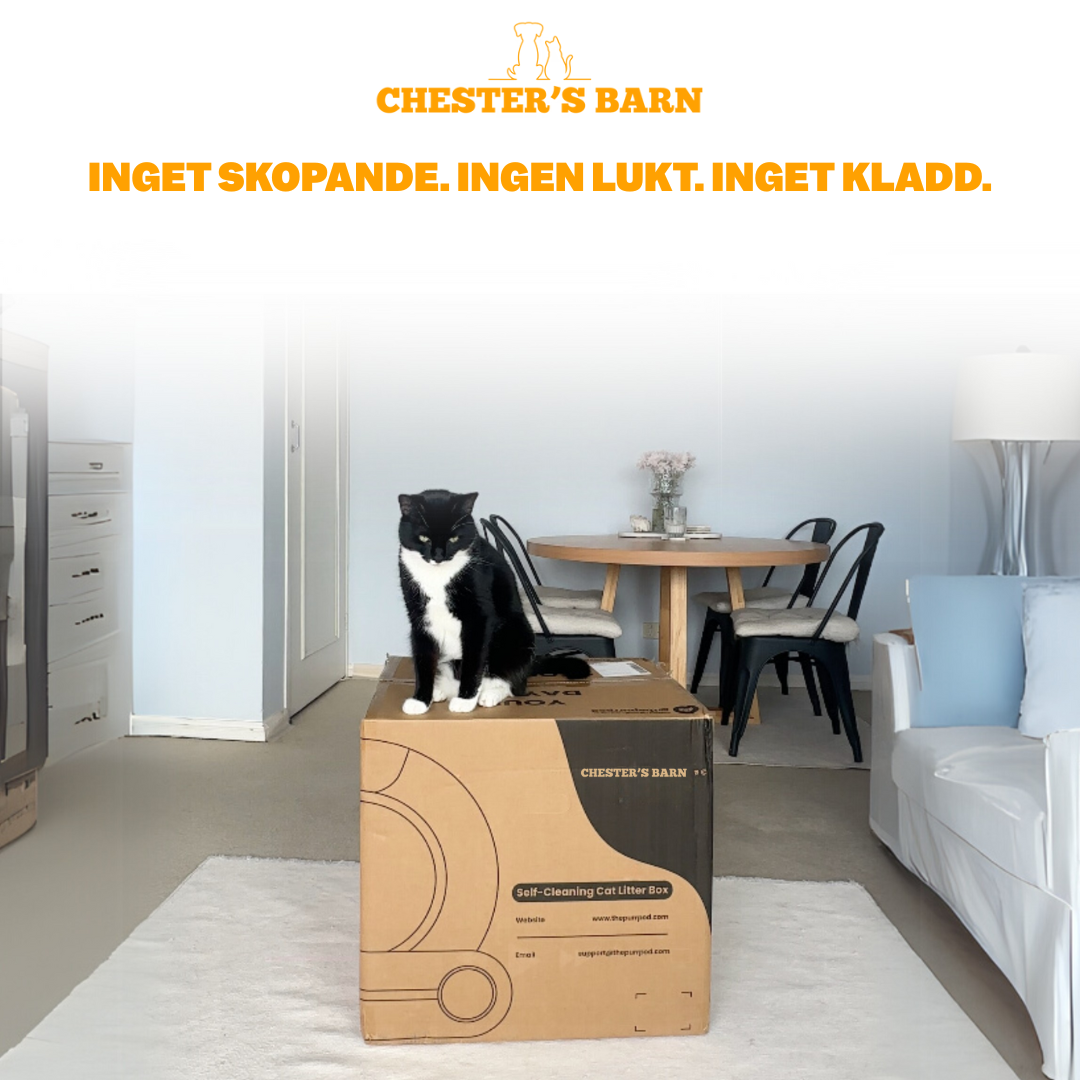 Chesters CleanPod™ smarta kattlåda