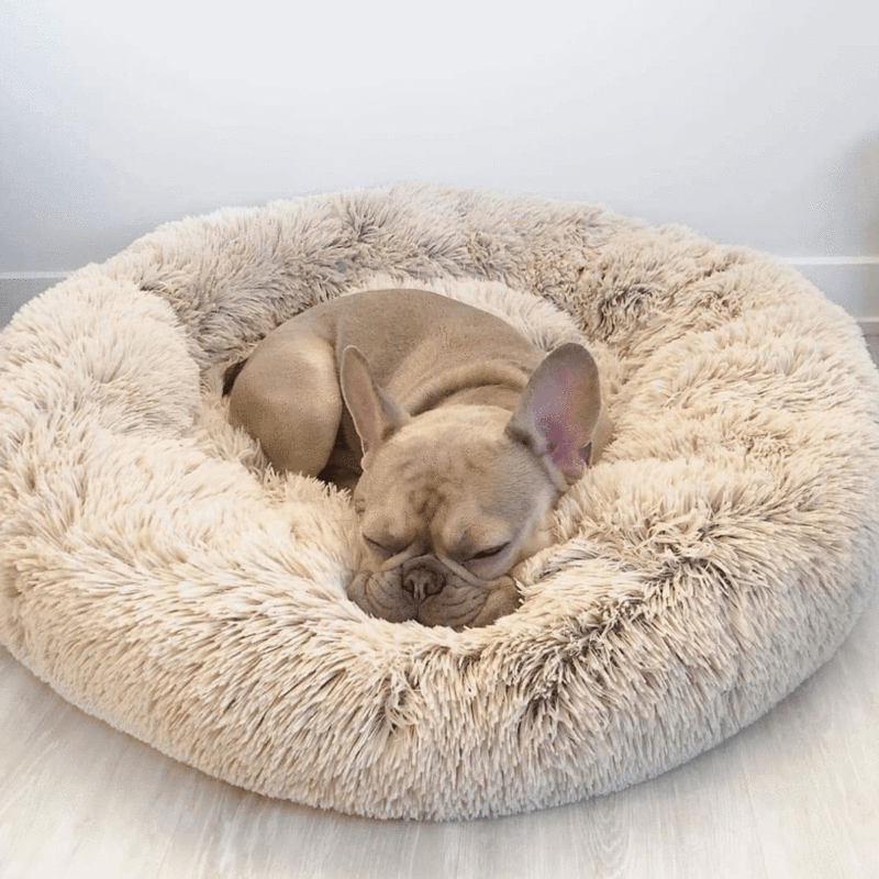 The Orginal Calming Cloud 9 Dog Bed