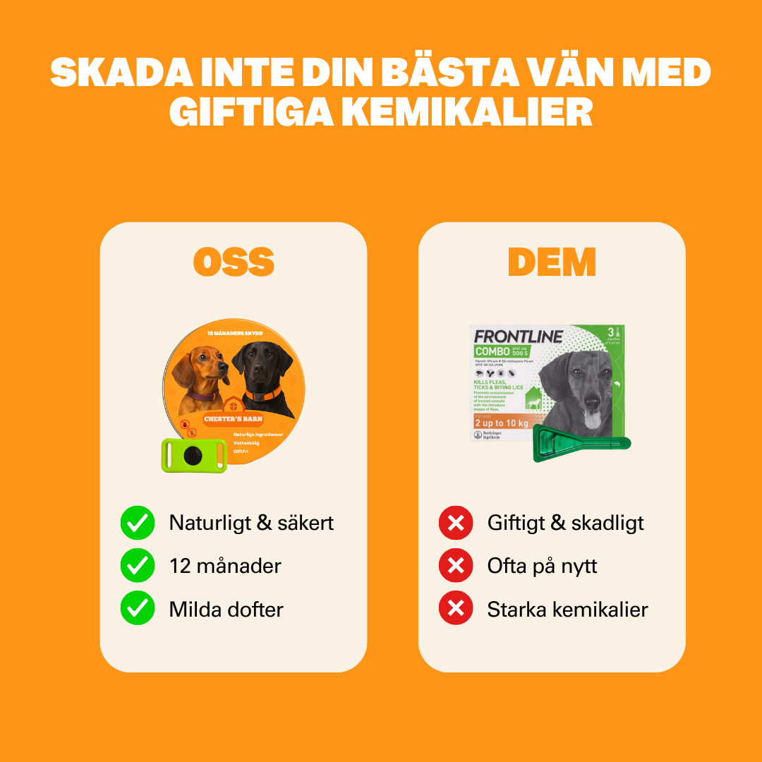 Chester's Shield™ 12 månader lopp- och fästingfri