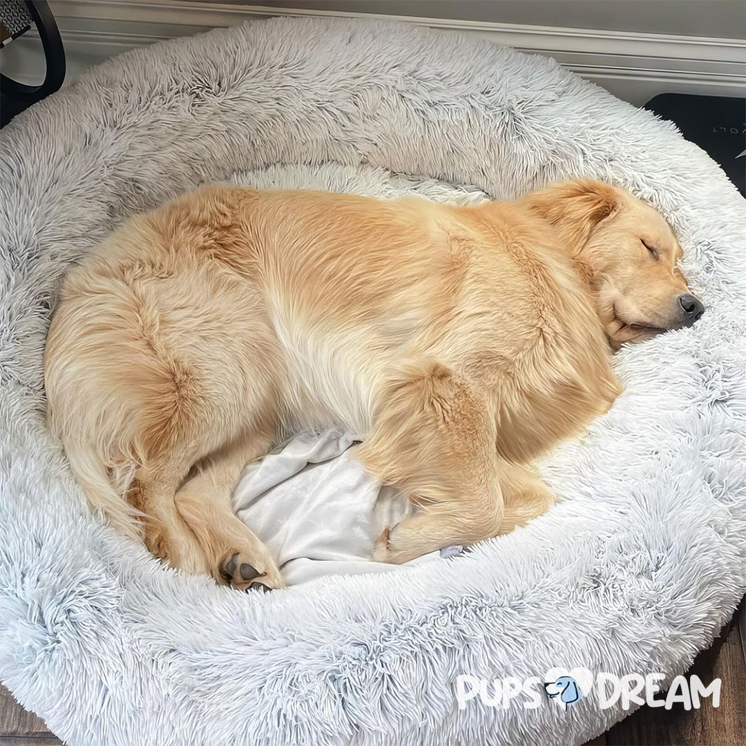 The Orginal Calming Cloud 9 Dog Bed